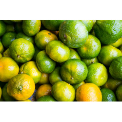 CLEMENTINE VERTE 10KG